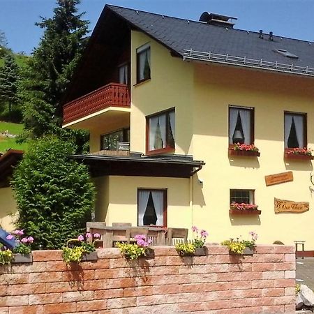 Ferienwohnung Sonnentraum - Appartement 5 Willingen Willingen  Exteriör bild