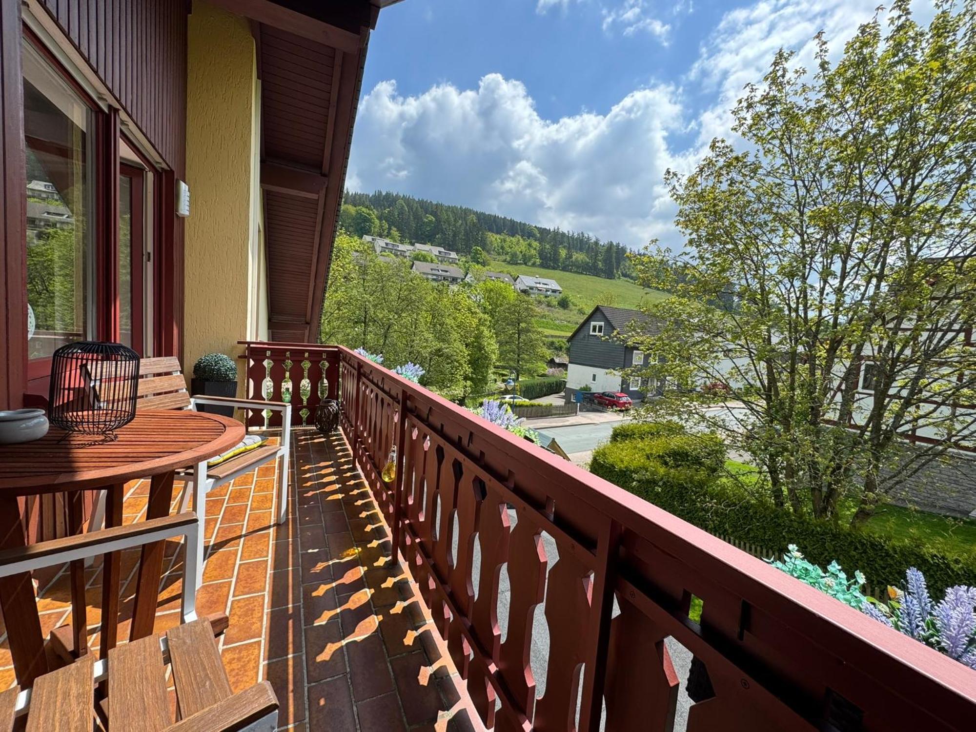 Ferienwohnung Sonnentraum - Appartement 5 Willingen Willingen  Exteriör bild