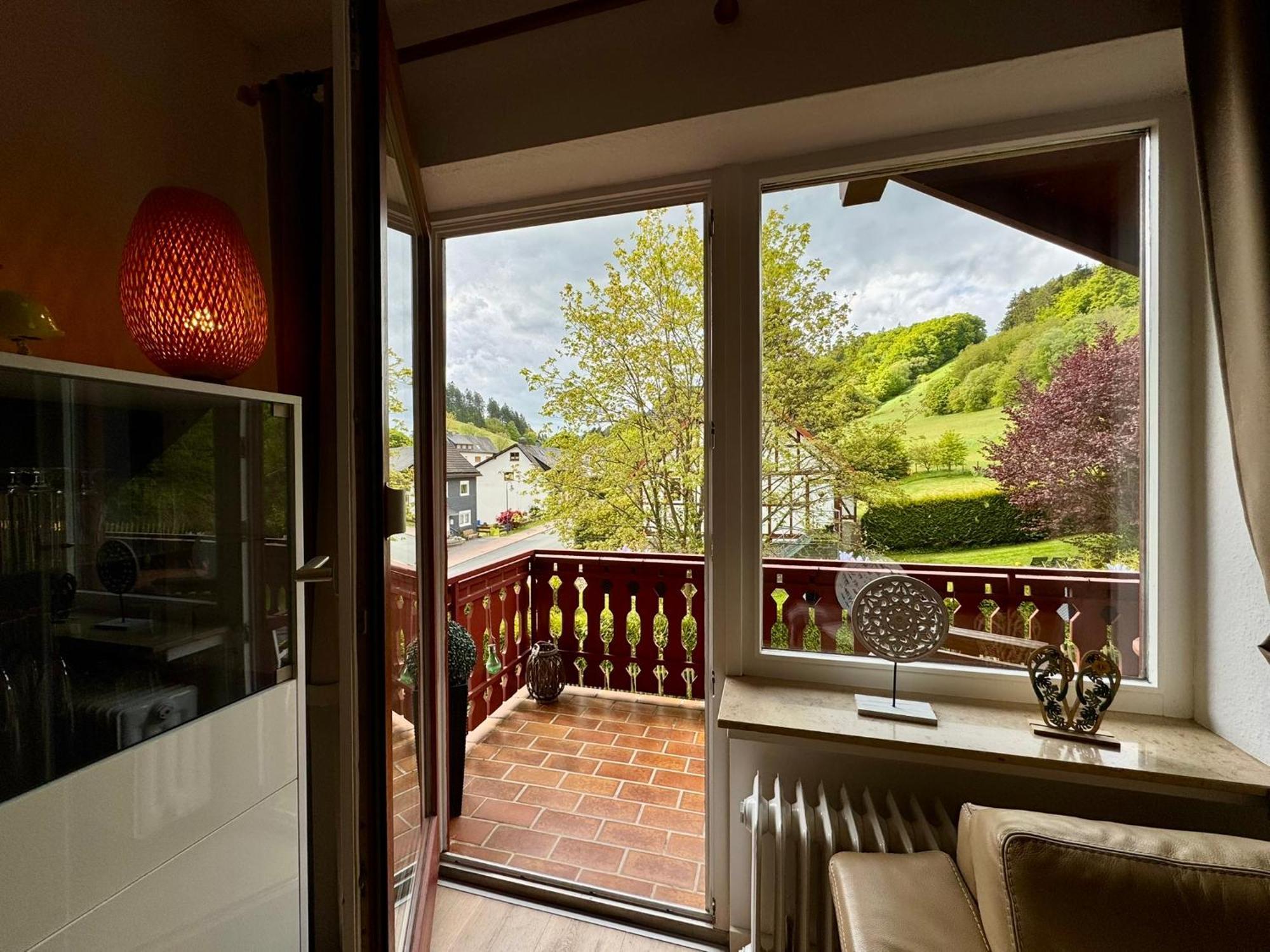 Ferienwohnung Sonnentraum - Appartement 5 Willingen Willingen  Exteriör bild