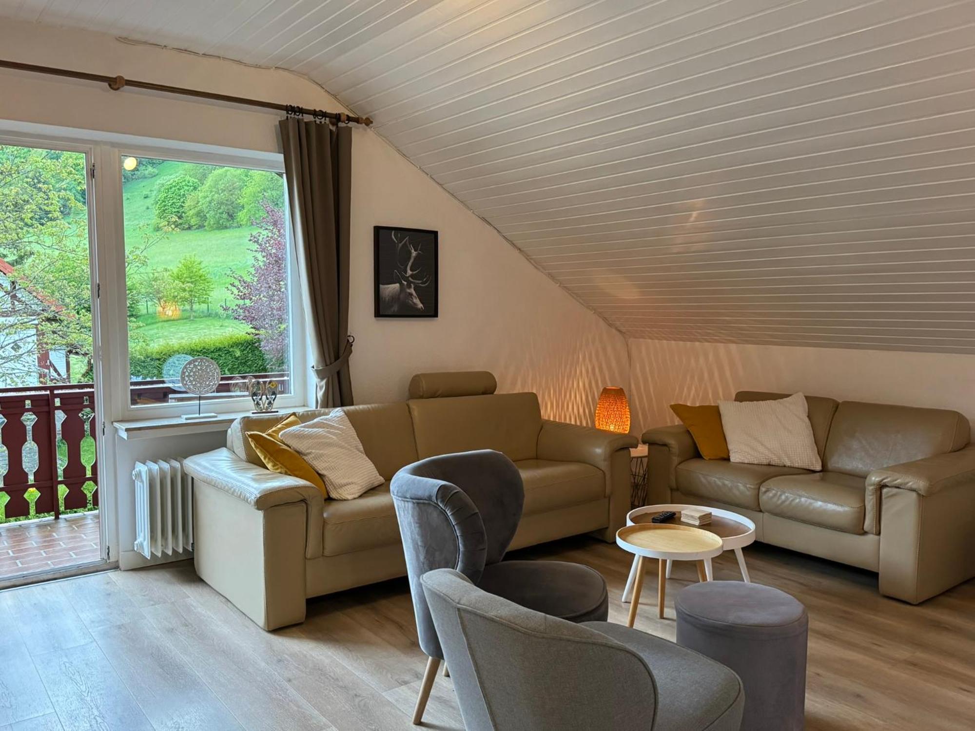 Ferienwohnung Sonnentraum - Appartement 5 Willingen Willingen  Exteriör bild